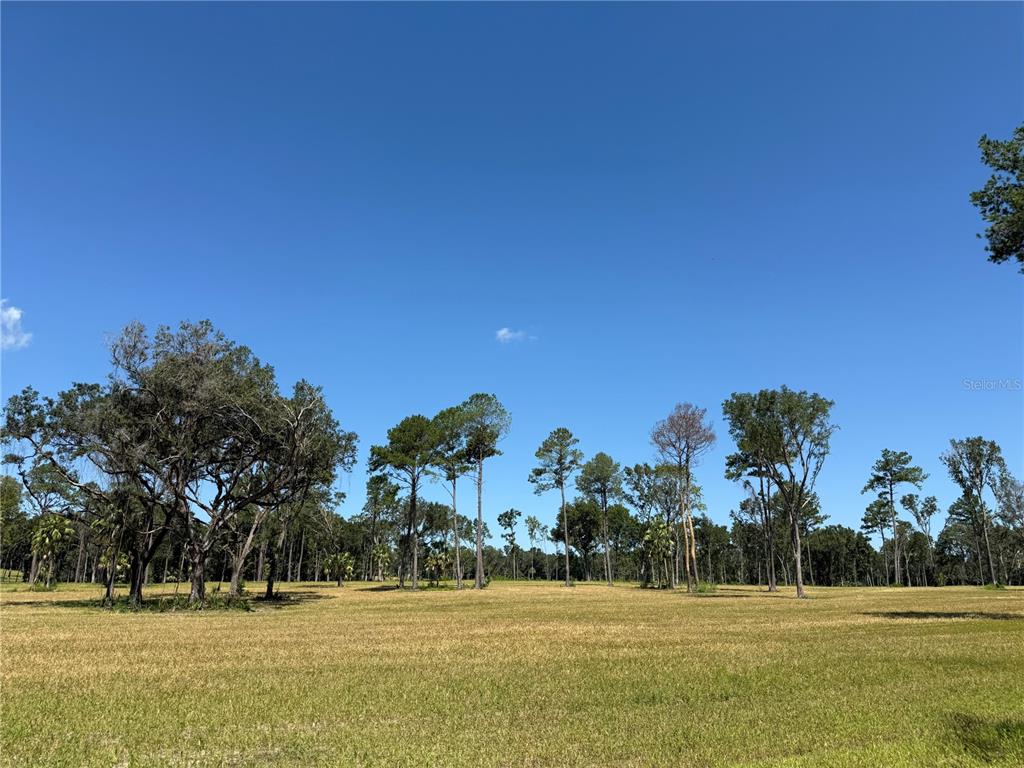 Property for sale at DR #5 (24ac) NW 193RD ST, MICANOPY, FL, 32667