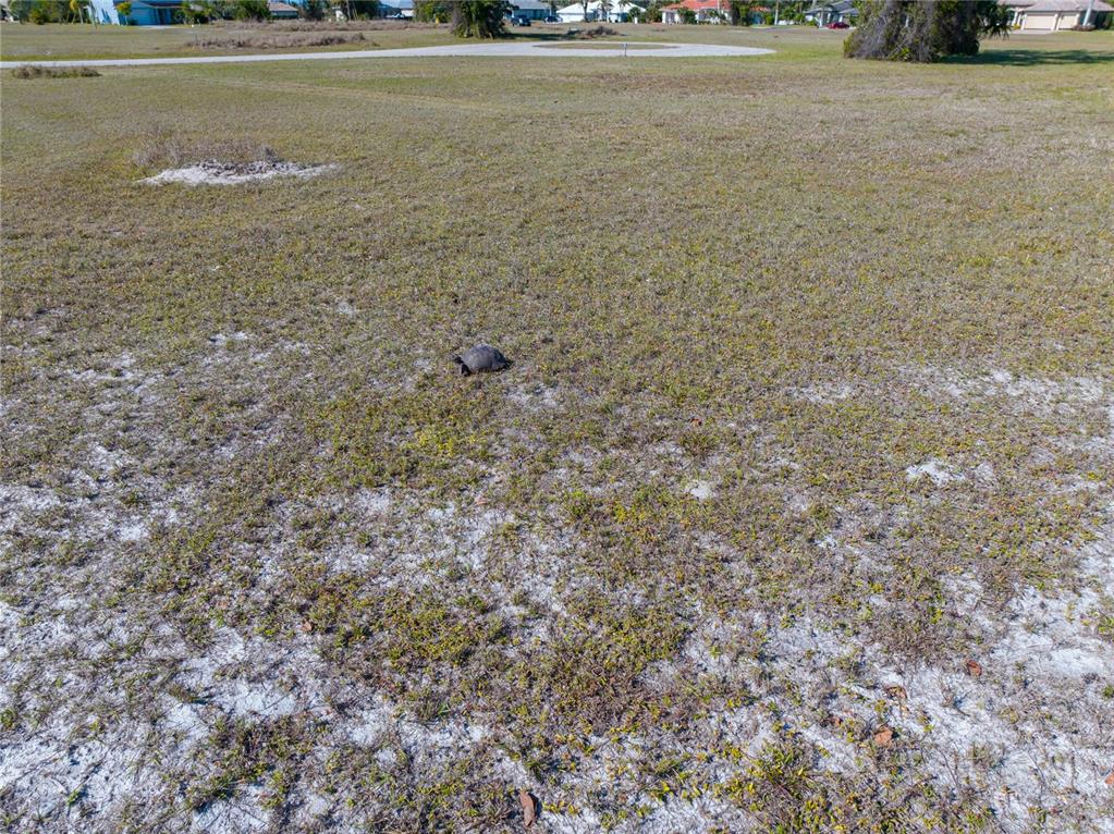 Property for sale at 17154 SUGAR COURT, PUNTA GORDA, FL, 33955