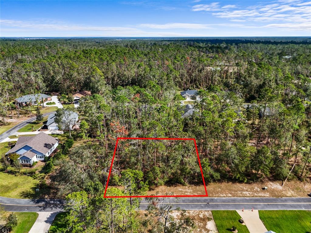 Property for sale at TBD WILDWOOD DRIVE, LIVE OAK, FL, 32060