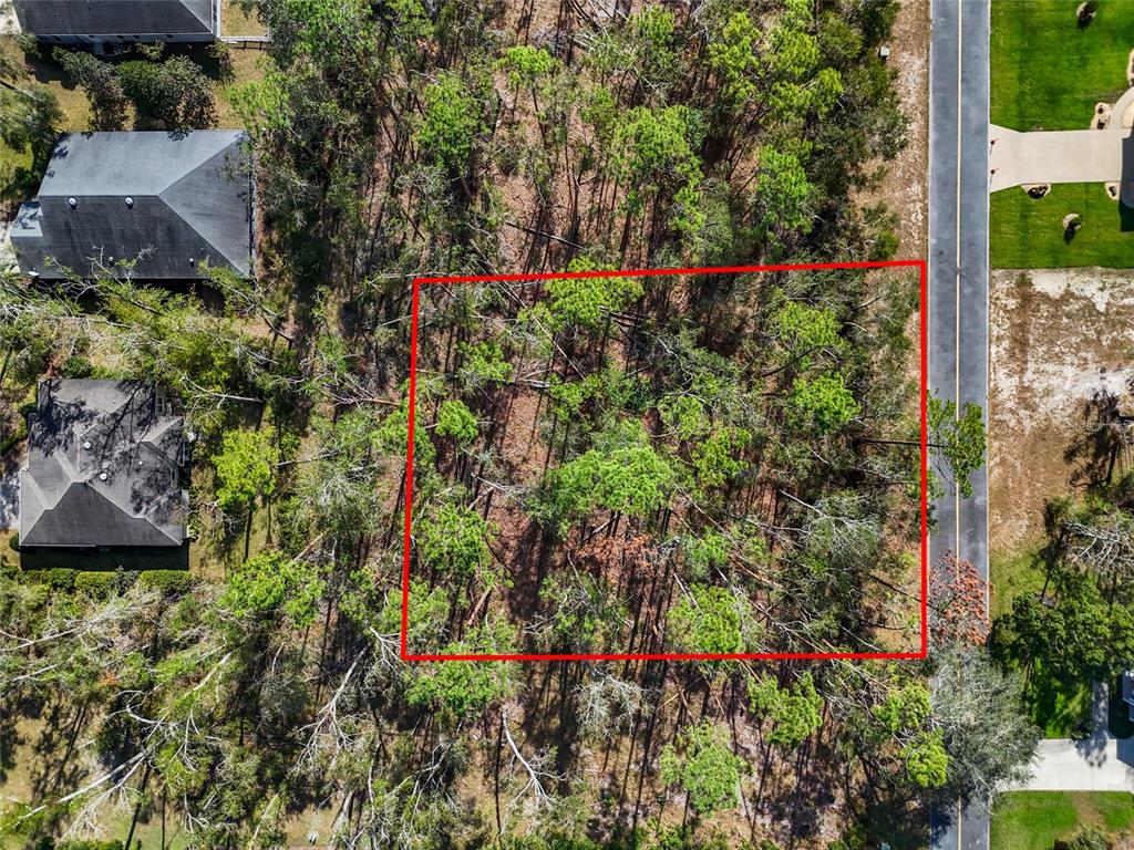 Property for sale at TBD WILDWOOD DRIVE, LIVE OAK, FL, 32060