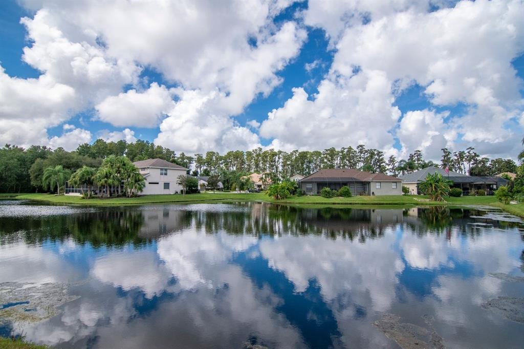 Gorgeous Pond Views