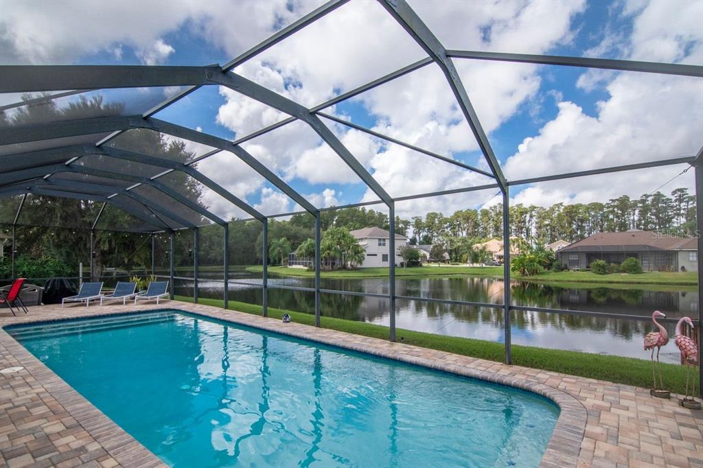 Oversized, private pool with pavers, screened enclosure and pond views