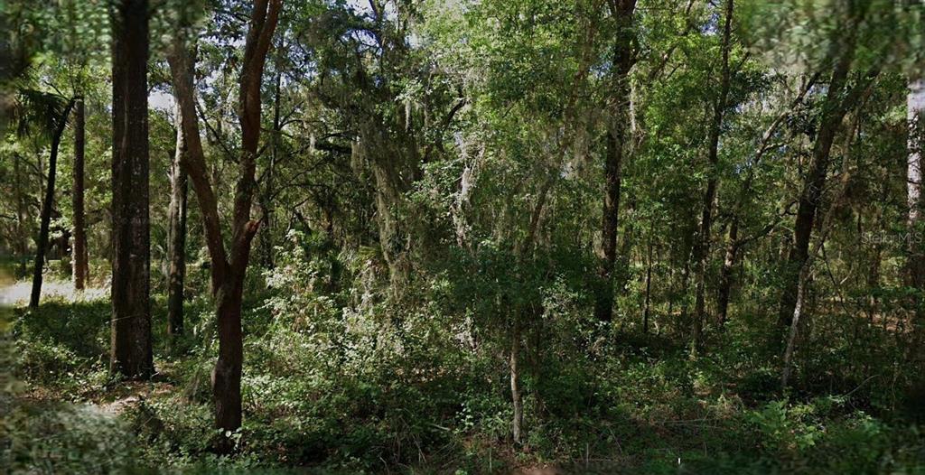 Property for sale at 8430 W RAINBOW OAKS COURT, CRYSTAL RIVER, FL, 34428