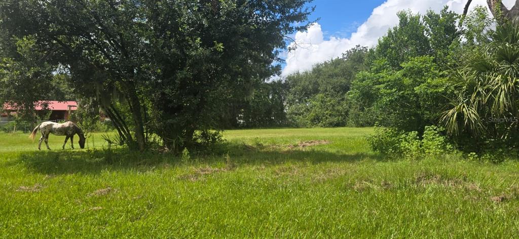 Property for sale at 4511 E KEYSVILLE ROAD, LITHIA, FL, 33547