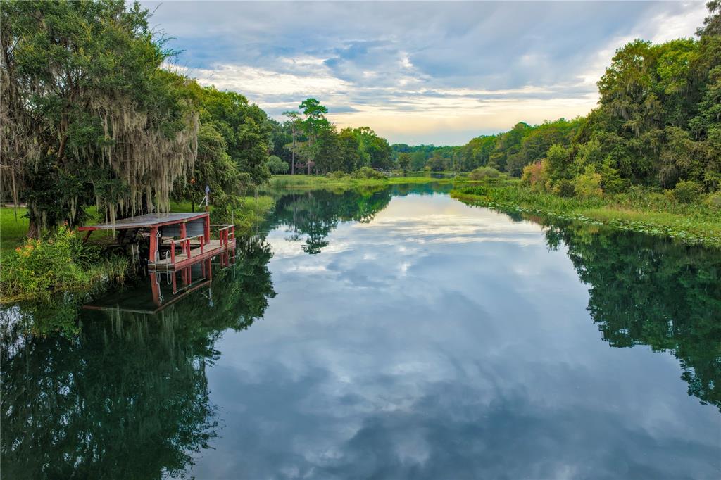 The doak and the Rainbow River