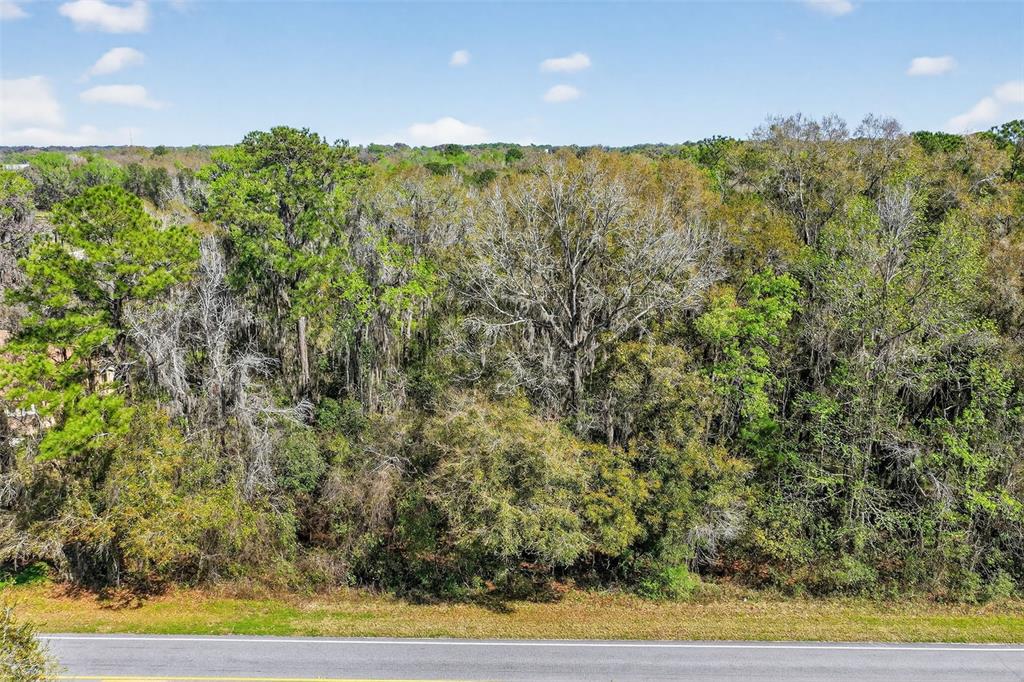 Property for sale at TBD NW HWY 225A, REDDICK, FL, 32686