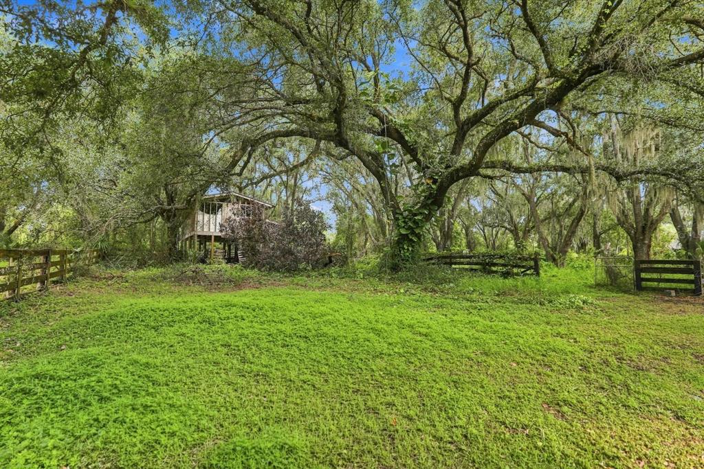 Beautiful nature surrounds home and grounds.