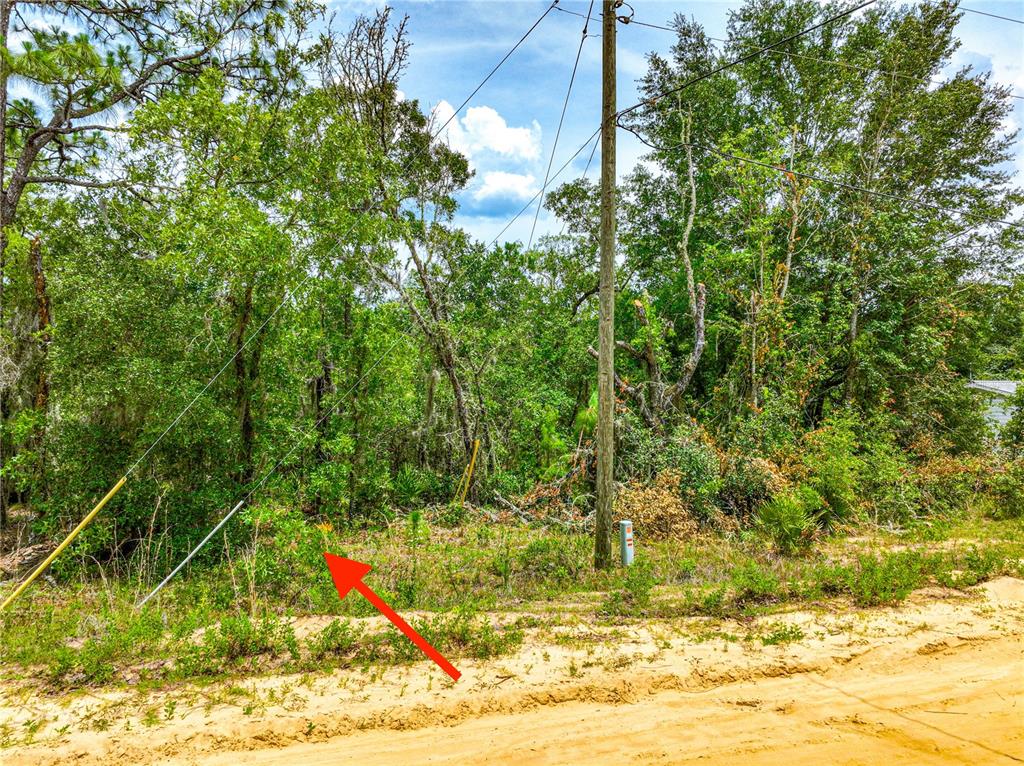 Property for sale at 128 CARMICHAEL ROAD, INTERLACHEN, FL, 32148
