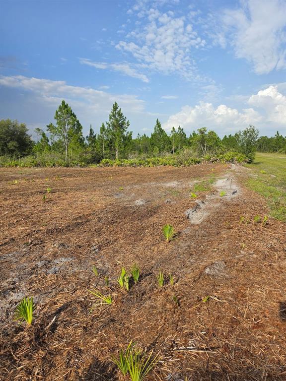 Property for sale at 1106 CALLIANDRA DRIVE, INDIAN LAKE ESTATES, FL, 33855