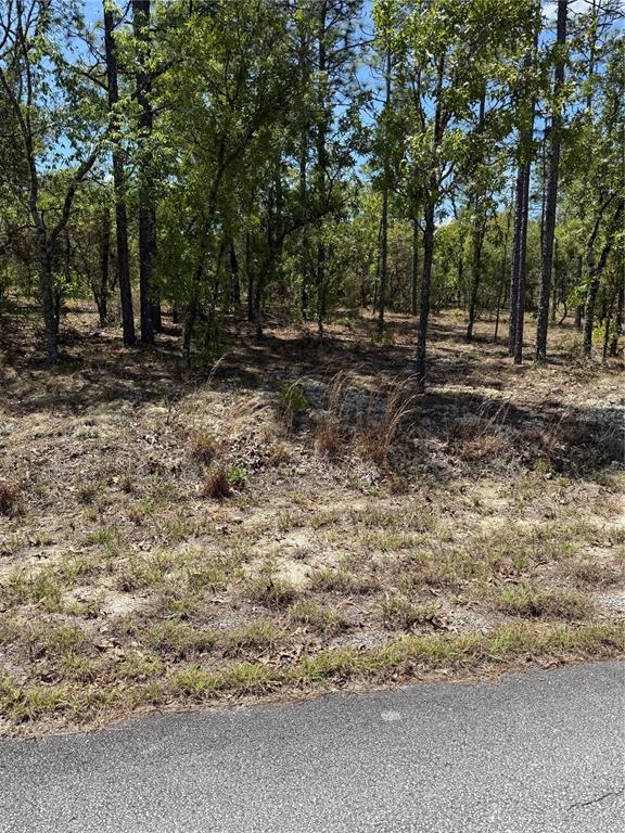 Property for sale at LOT# 8 SW MINEOLA LANE, DUNNELLON, FL, 34431