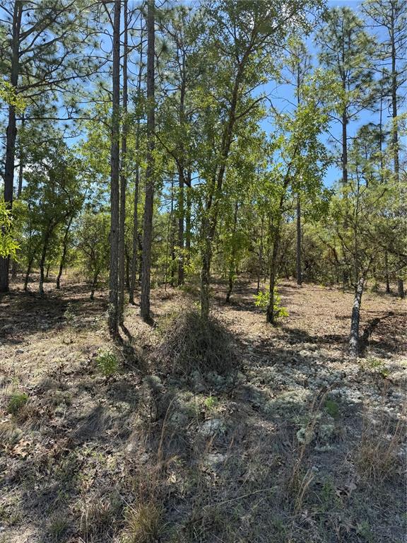 Property for sale at LOT# 8 SW MINEOLA LANE, DUNNELLON, FL, 34431