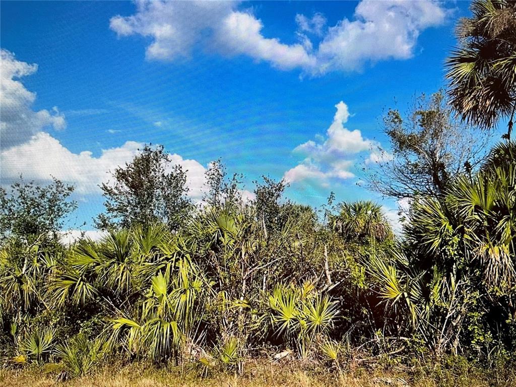 Property for sale at 347 LAWLER STREET, PORT CHARLOTTE, FL, 33954