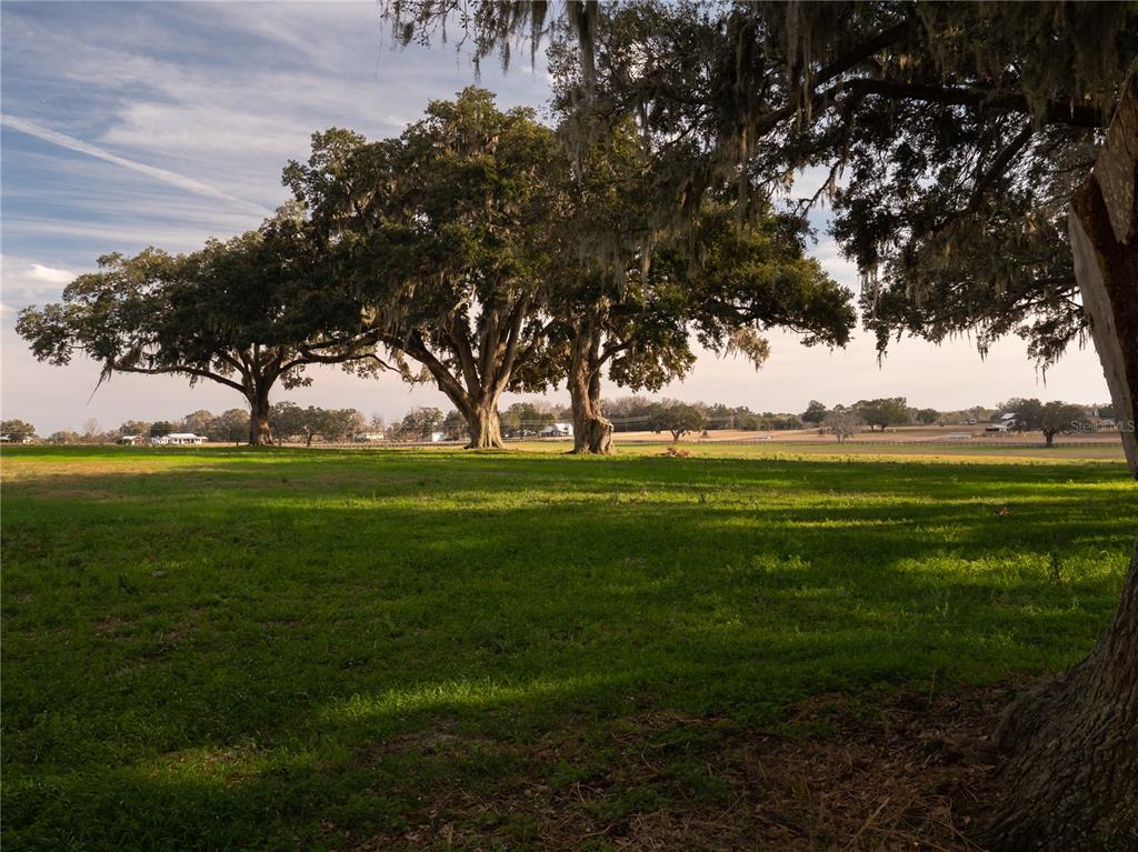 Property for sale at TBD NW GAINESVILLE ROAD, REDDICK, FL, 32686