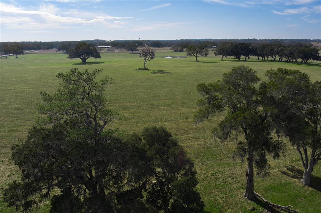 Property for sale at TBD NW GAINESVILLE ROAD, REDDICK, FL, 32686