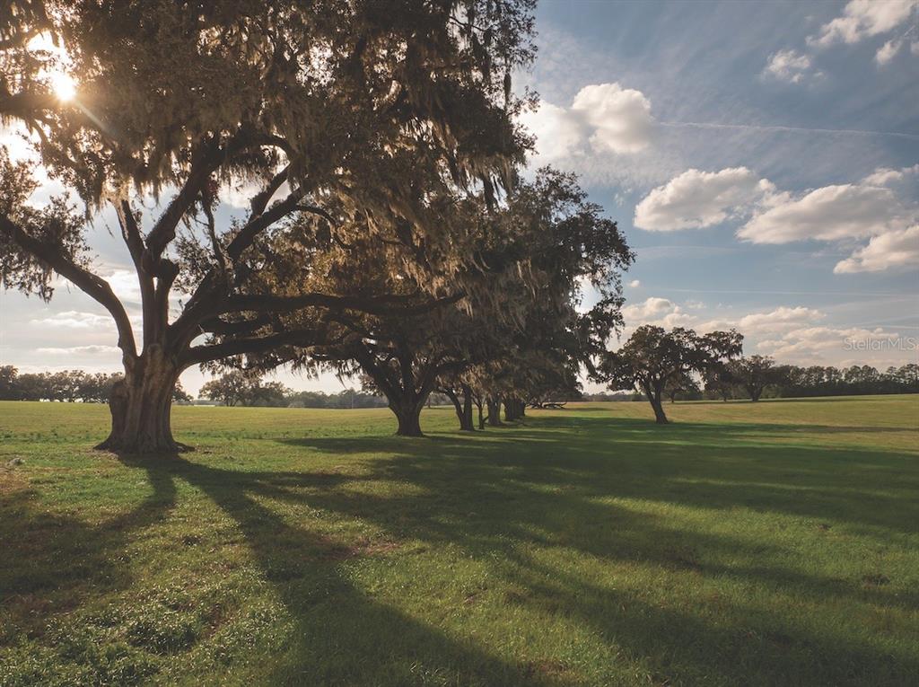Property for sale at TBD NW GAINESVILLE ROAD, REDDICK, FL, 32686