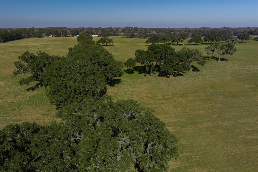Property for sale at TBD NW GAINESVILLE ROAD, REDDICK, FL, 32686