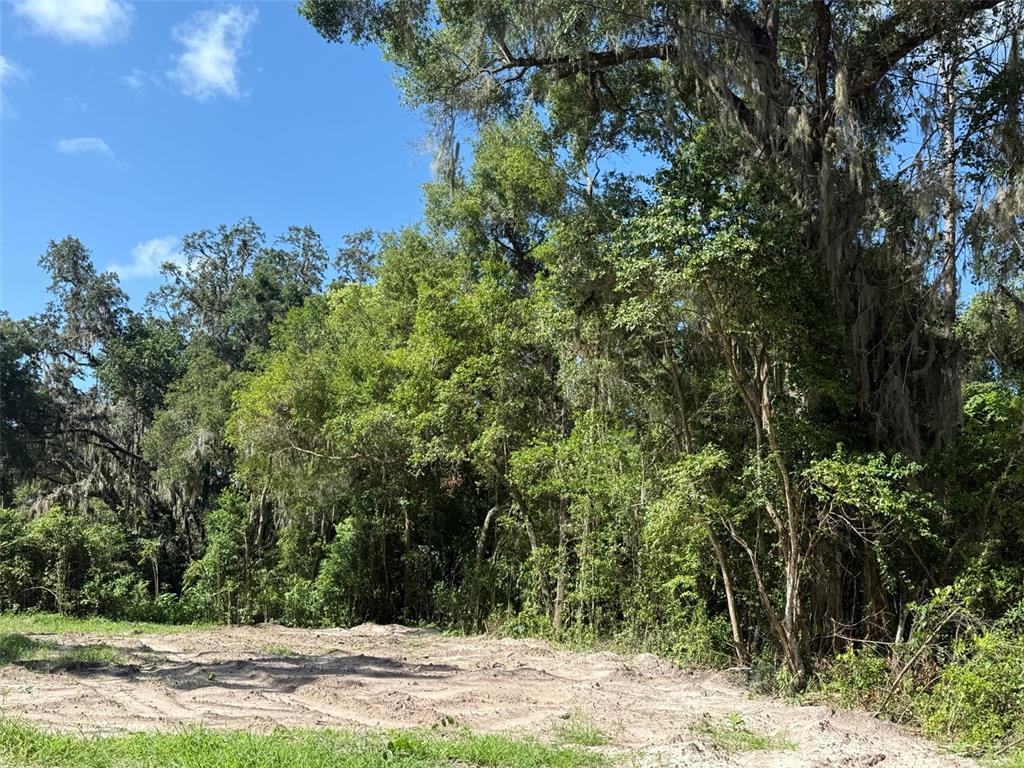 Property for sale at 115 RODDY LANE, PALATKA, FL, 32177