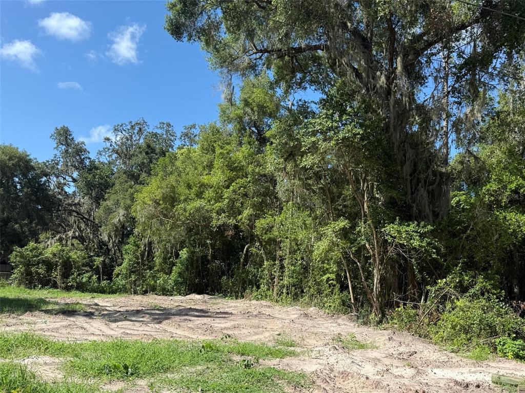 Property for sale at 115 RODDY LANE, PALATKA, FL, 32177