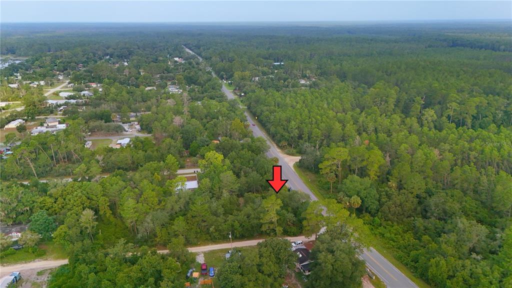Property for sale at COUNTY ROAD 42, PAISLEY, FL, 32767