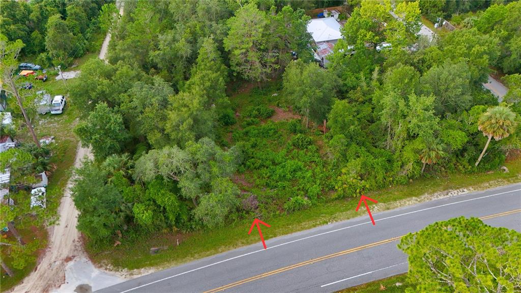 Property for sale at COUNTY ROAD 42, PAISLEY, FL, 32767