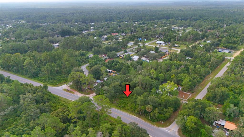 Property for sale at COUNTY ROAD 42, PAISLEY, FL, 32767