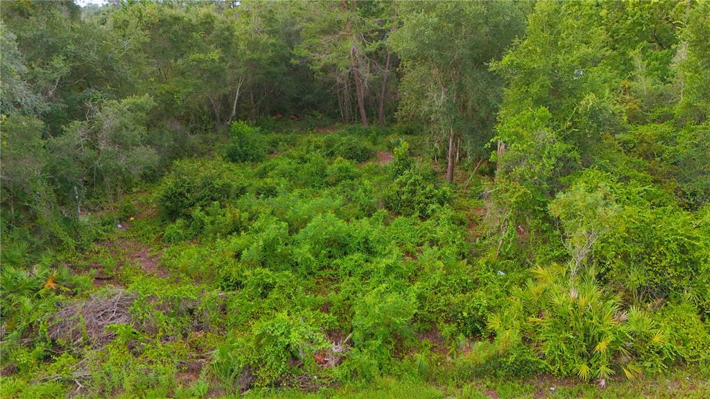 Property for sale at COUNTY ROAD 42, PAISLEY, FL, 32767