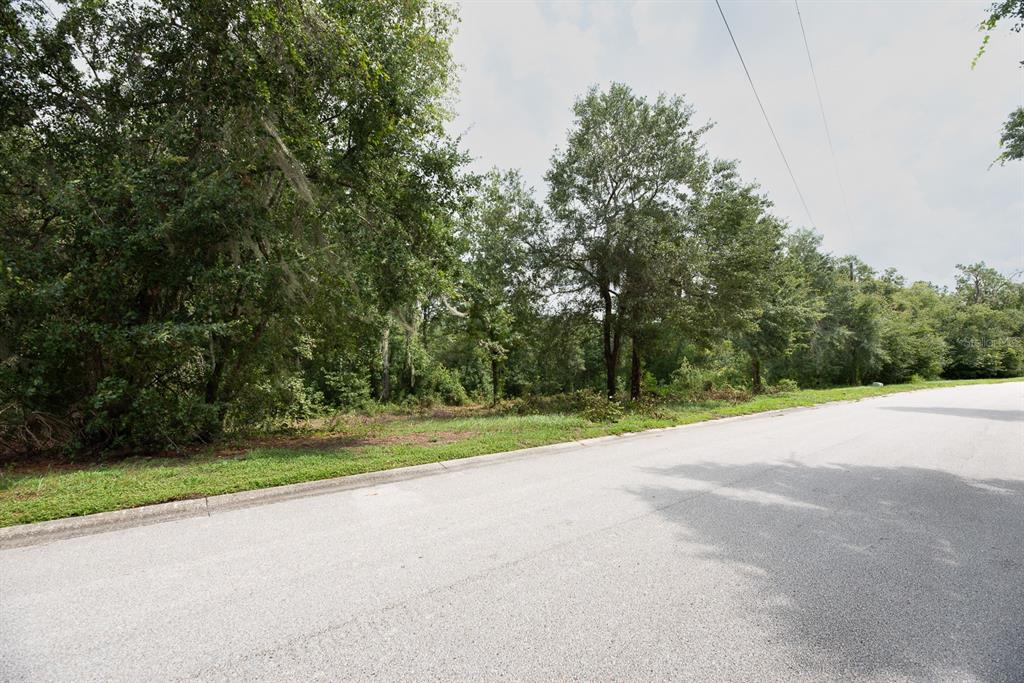 Property for sale at 0 LAKE HILLS DRIVE, RIVERVIEW, FL, 33569