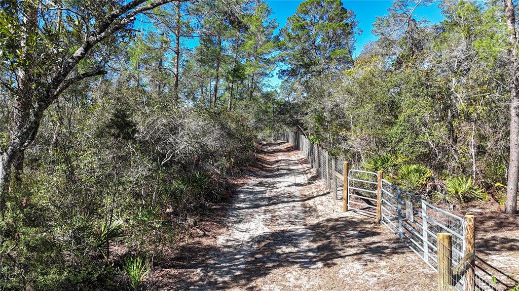 Property for sale at 6646 N PERCALE TERRACE, DUNNELLON, FL, 34433