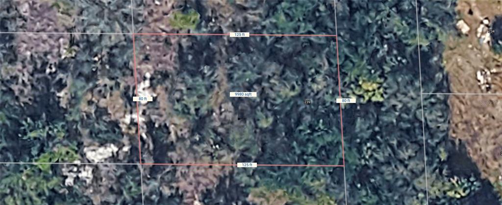 Property for sale at 239 SAWFISH LANE, PUNTA GORDA, FL, 33982