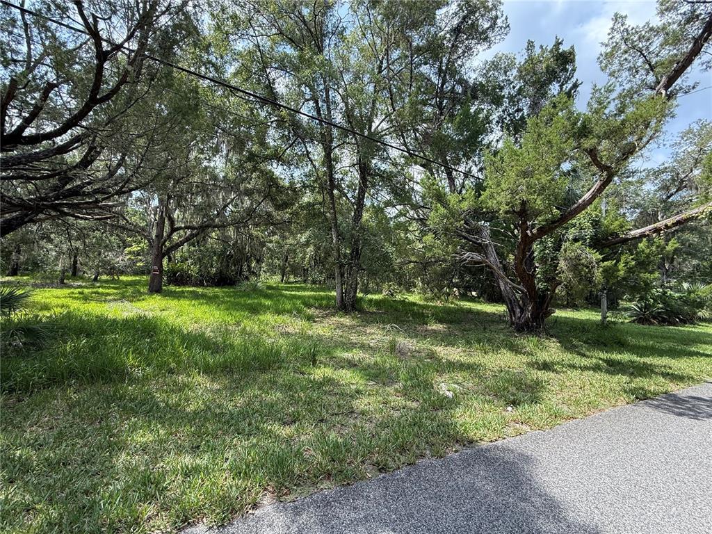 Property for sale at 11990 W ELDRED LANE, HOMOSASSA, FL, 34448