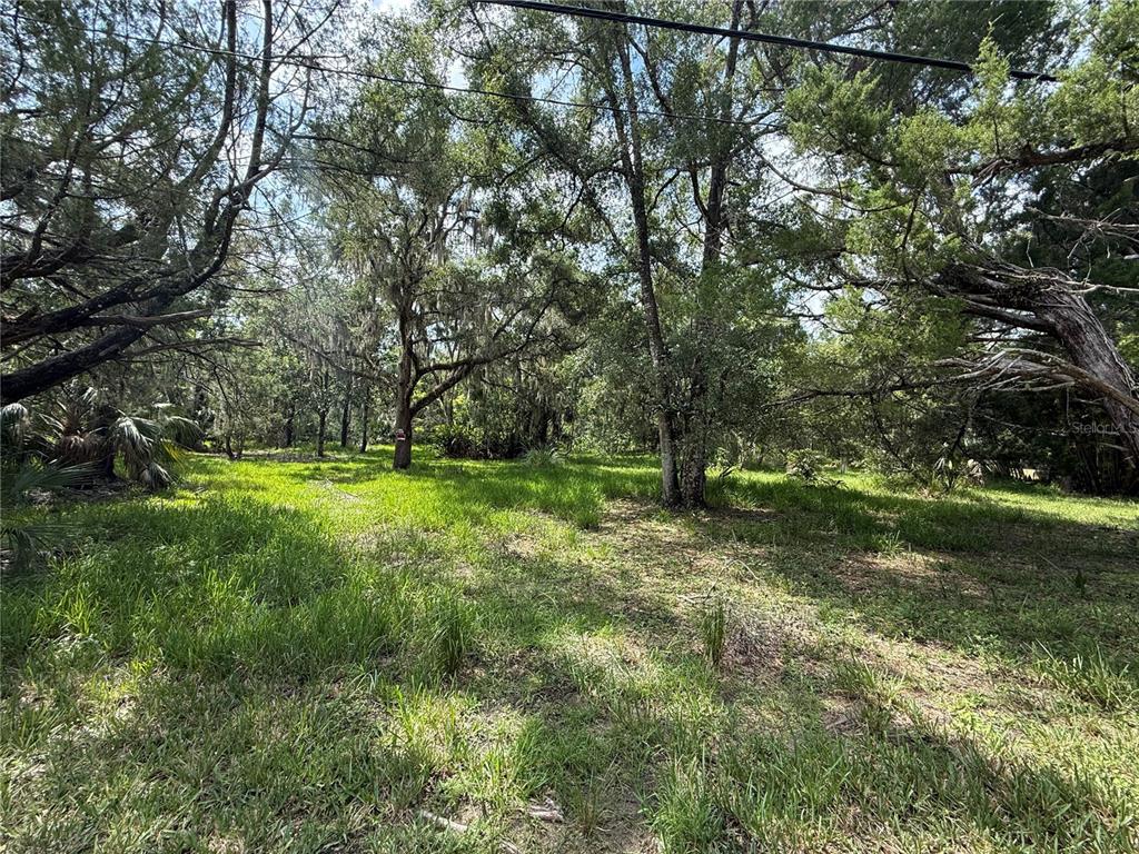 Property for sale at 11990 W ELDRED LANE, HOMOSASSA, FL, 34448
