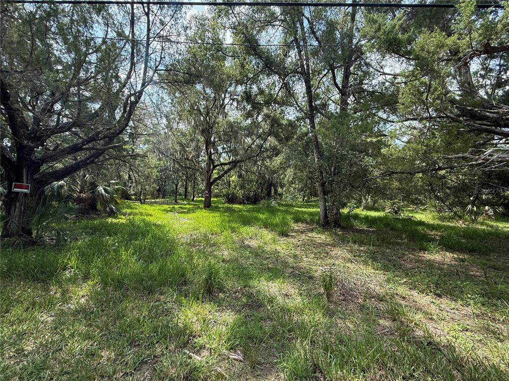 Property for sale at 11990 W ELDRED LANE, HOMOSASSA, FL, 34448