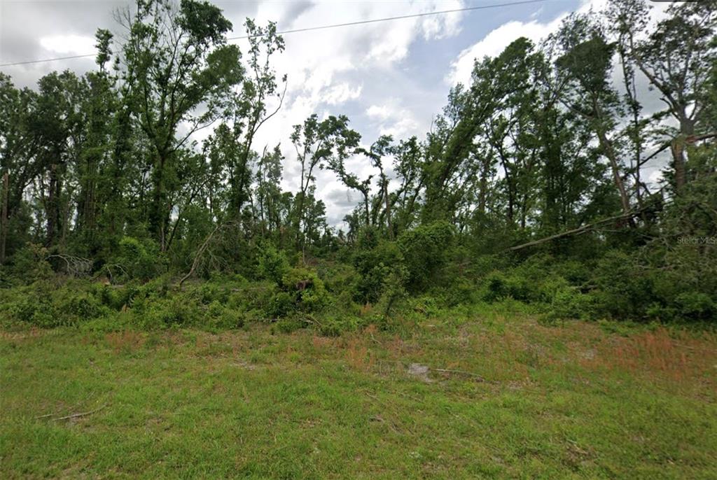 Property for sale at 00 SW DOE ROAD, MAYO, FL, 32066