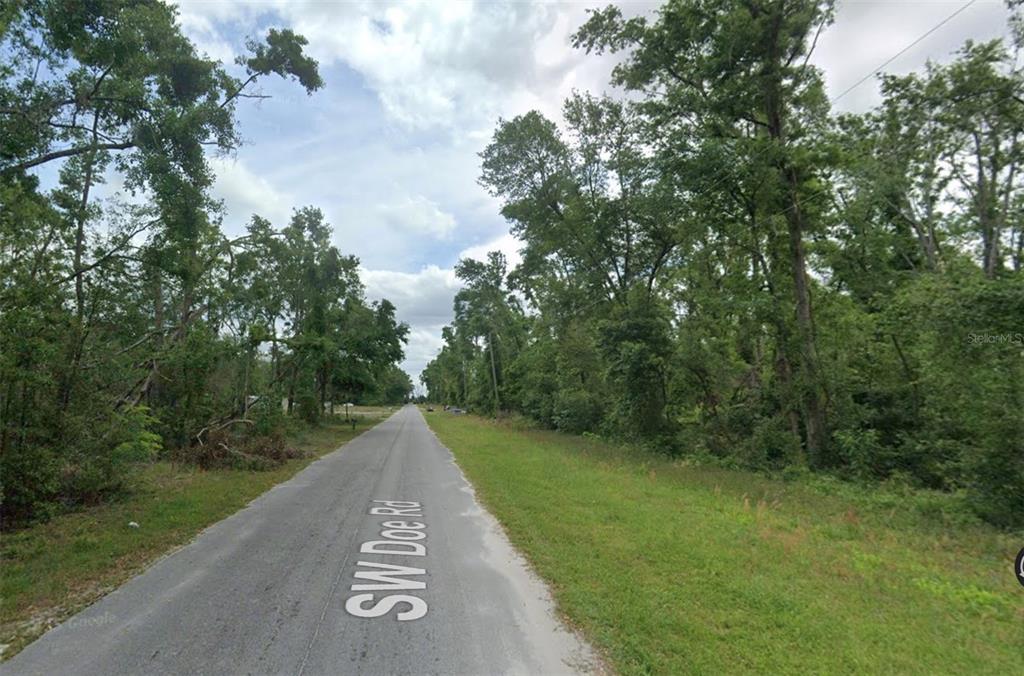 Property for sale at 00 SW DOE ROAD, MAYO, FL, 32066