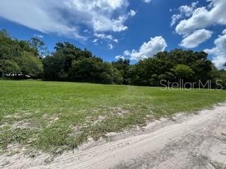 Property for sale at NE FOURTH STREET, WEBSTER, FL, 33597