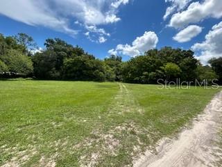 Property for sale at NE FOURTH STREET, WEBSTER, FL, 33597