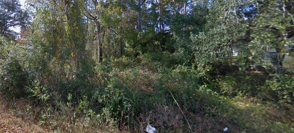 Property for sale at SE 173RD COURT, SILVER SPRINGS, FL, 34488