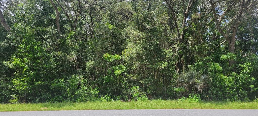 Property for sale at 0 SW BEACH BOULEVARD, DUNNELLON, FL, 34431