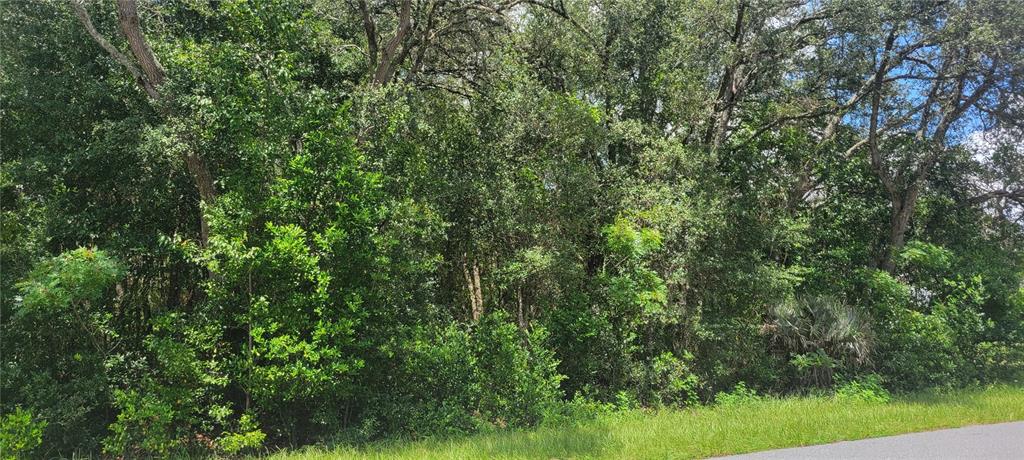 Property for sale at 0 SW BEACH BOULEVARD, DUNNELLON, FL, 34431