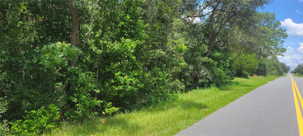Property for sale at 0 SW BEACH BOULEVARD, DUNNELLON, FL, 34431