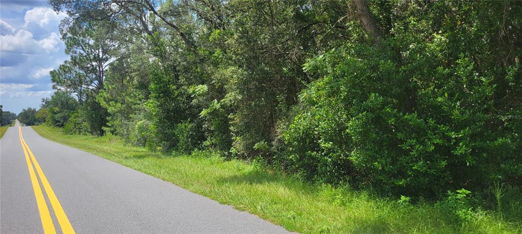 Property for sale at 0 SW BEACH BOULEVARD, DUNNELLON, FL, 34431