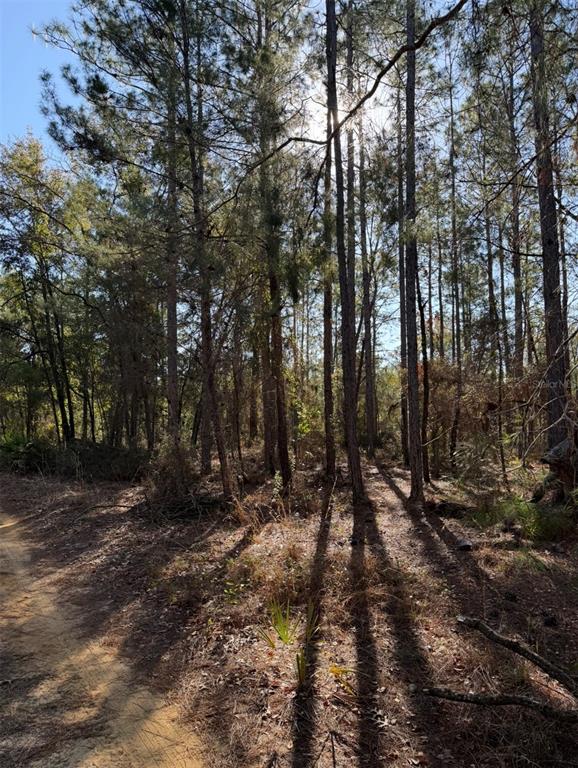 Property for sale at TBT 5TH WAY, INTERLACHEN, FL, 32148