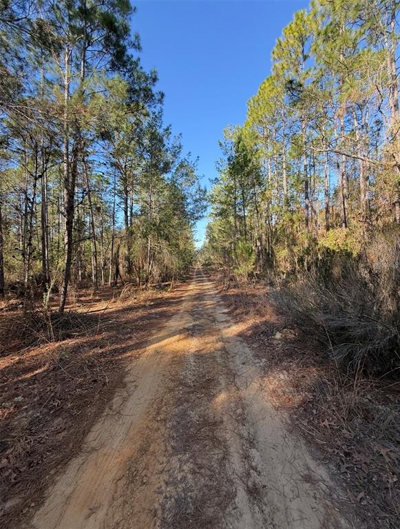 Property for sale at TBT 5TH WAY, INTERLACHEN, FL, 32148