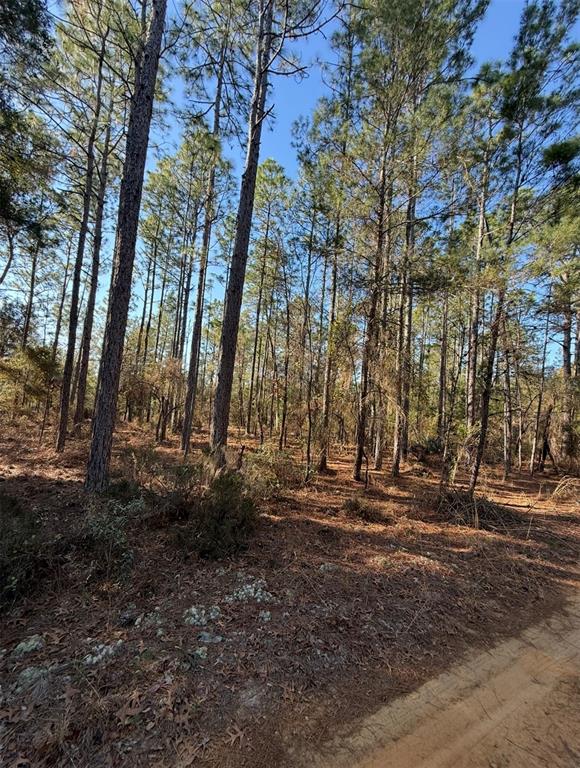 Property for sale at TBT 5TH WAY, INTERLACHEN, FL, 32148