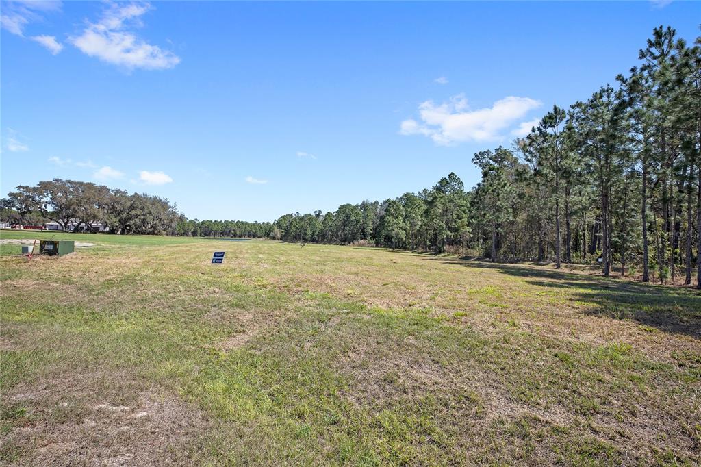 Property for sale at 20280 SHORELINE RANCH LANE, UMATILLA, FL, 32784