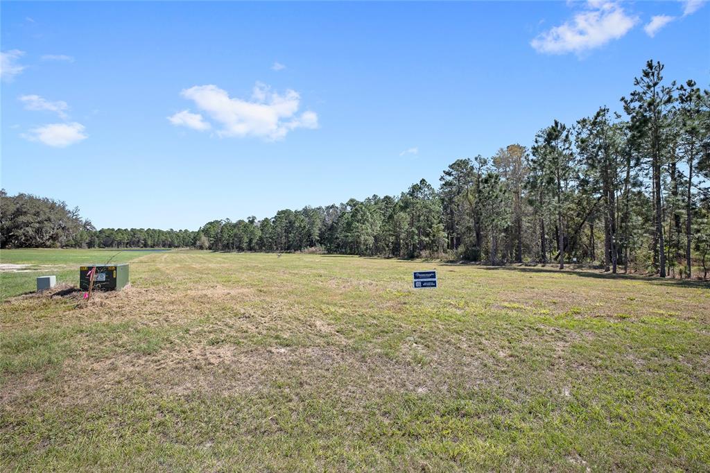 Property for sale at 20280 SHORELINE RANCH LANE, UMATILLA, FL, 32784