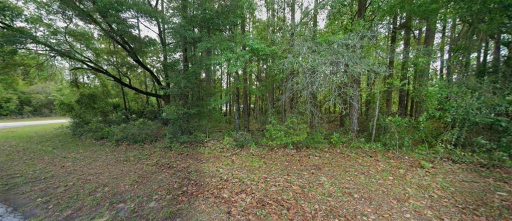 Property for sale at 10181 N GARDNER WAY, CITRUS SPRINGS, FL, 34434