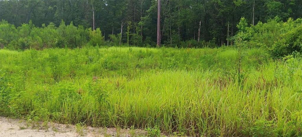 Property for sale at SW 18 STREET, OCALA, FL, 34481