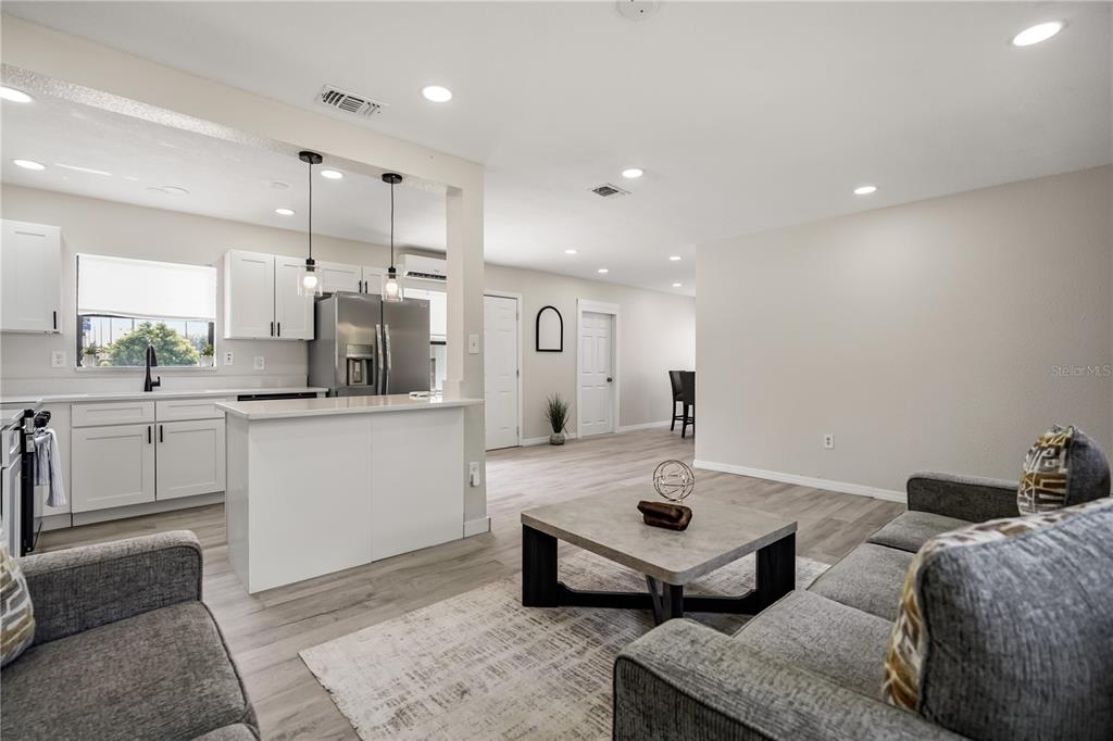 Living Living/Kitchen Area