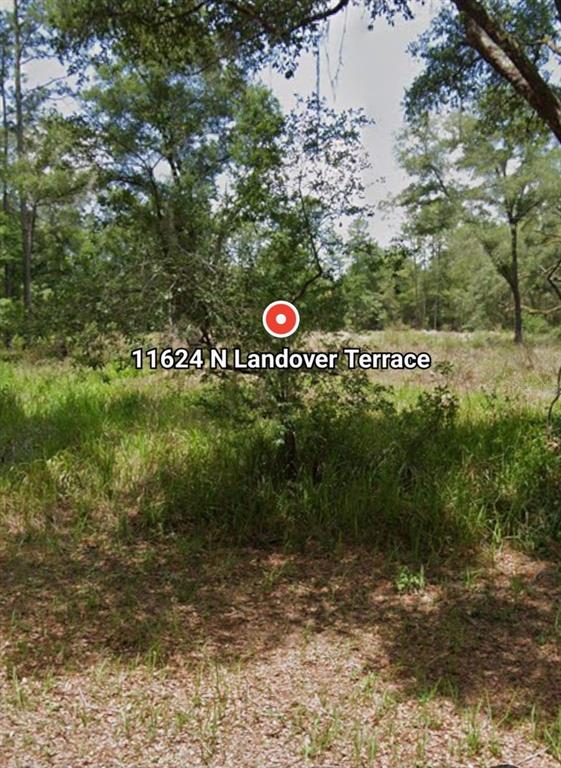 Property for sale at 11624 N LANDOVER TERRACE, DUNNELLON, FL, 34434